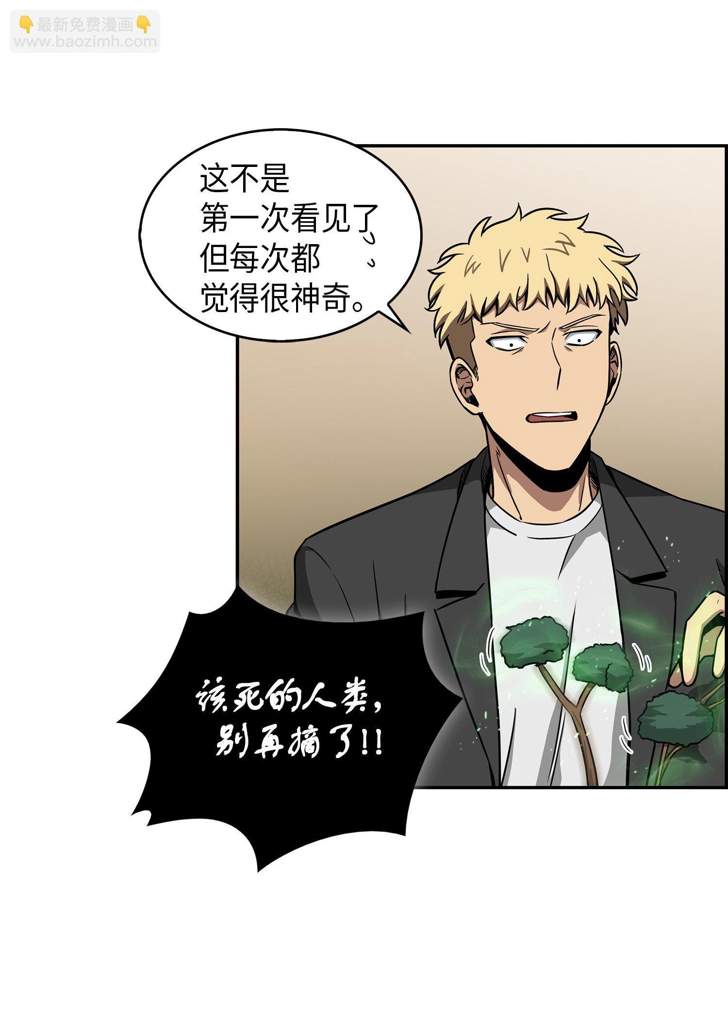 067 女神之战