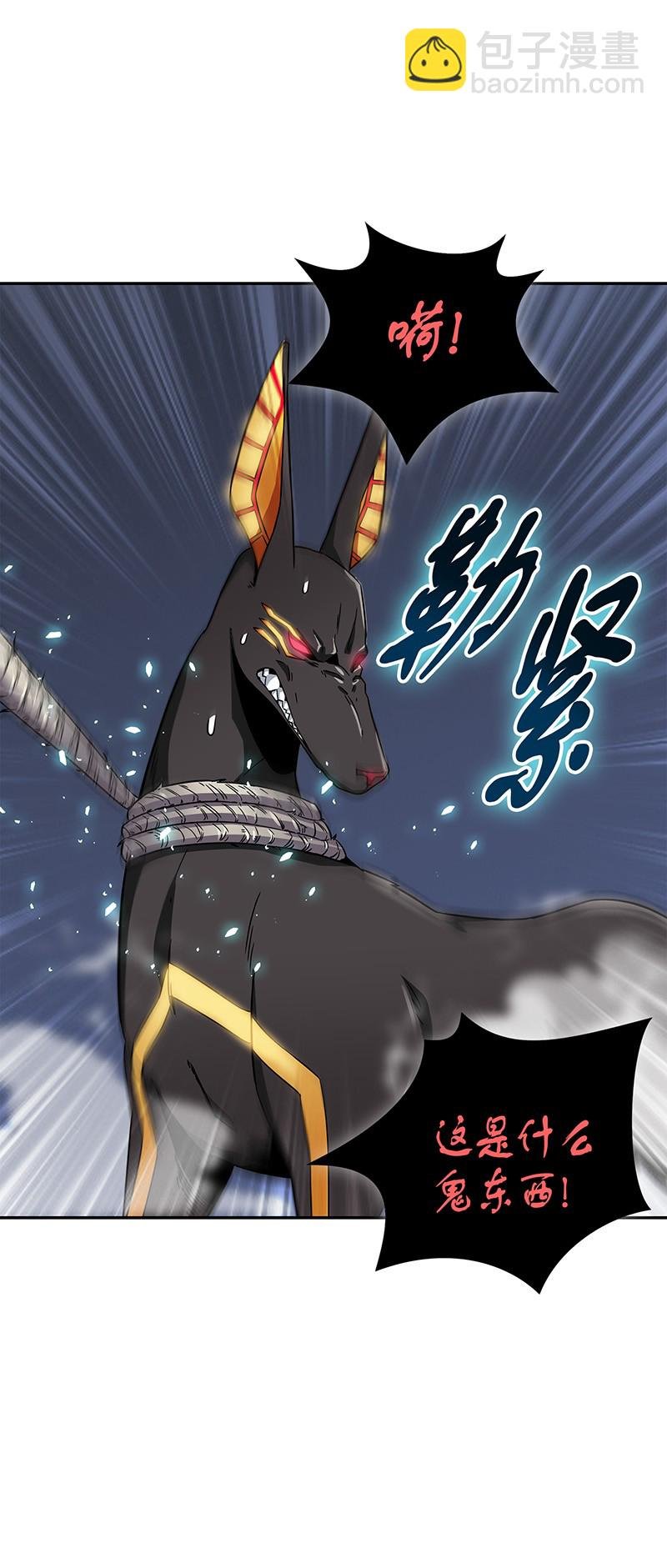 076 训练狗狗