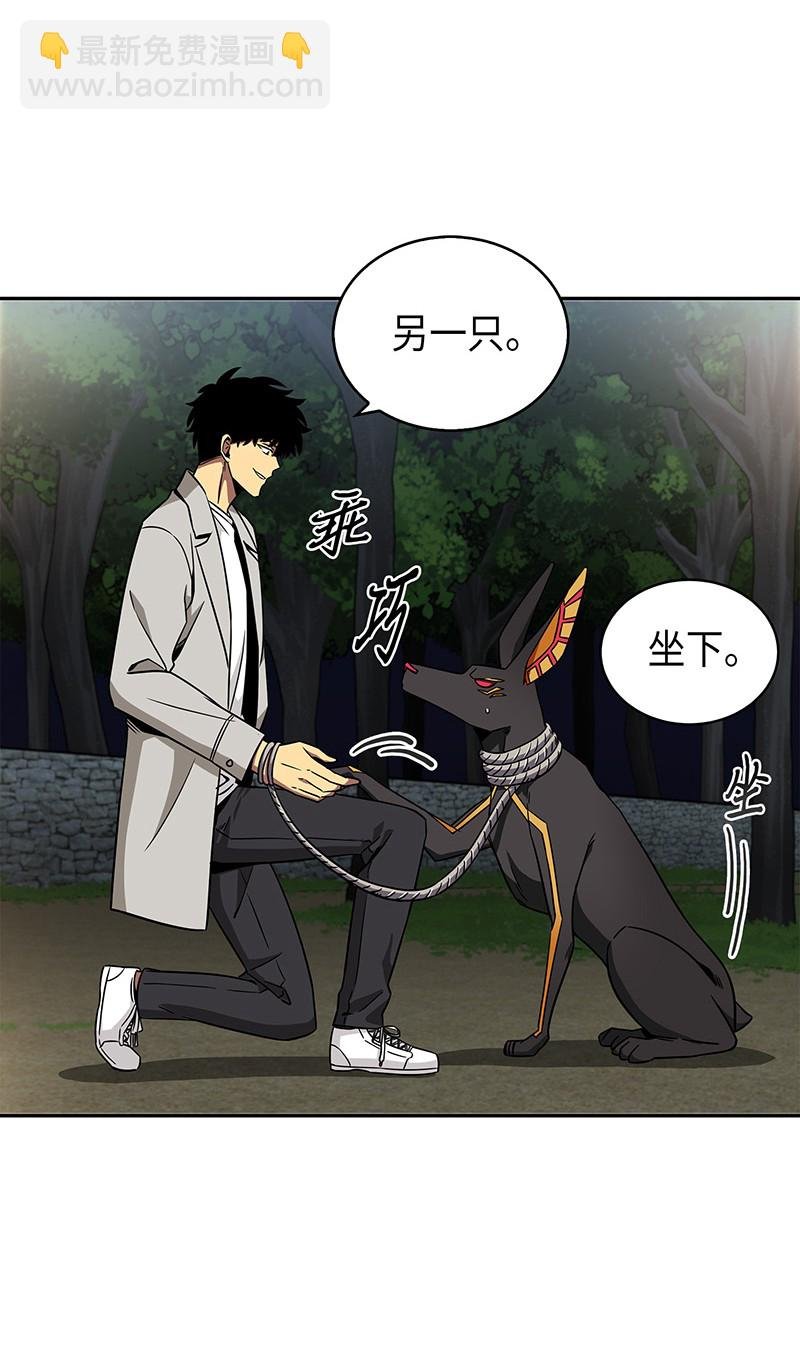 076 训练狗狗