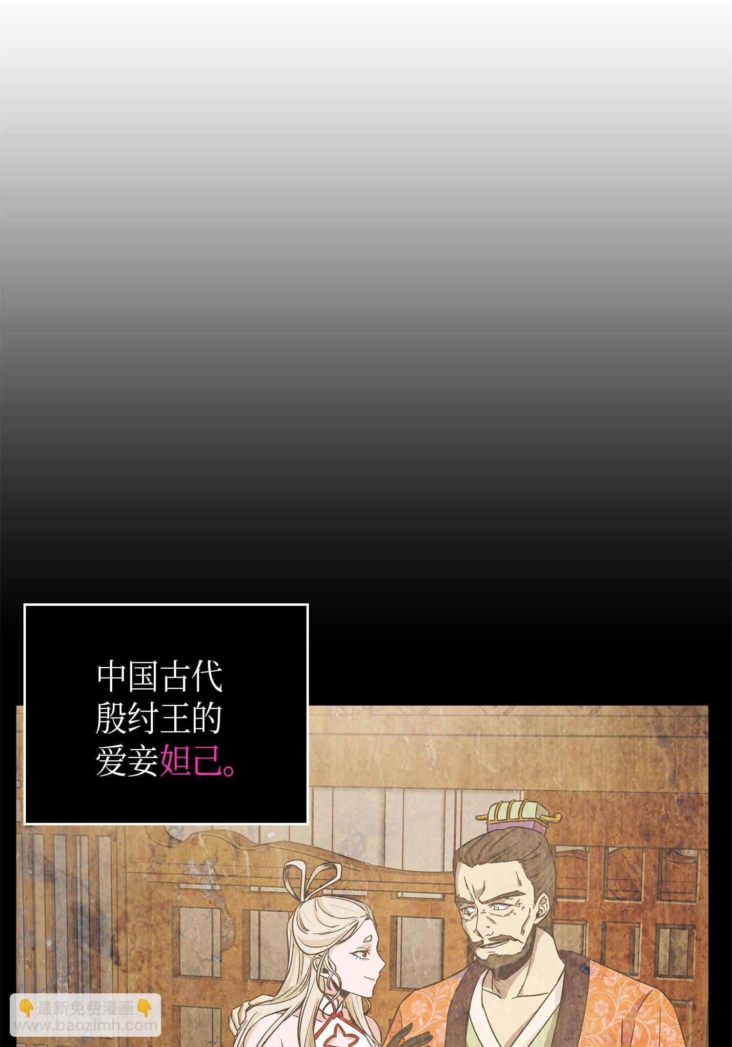 096 妲己宝物