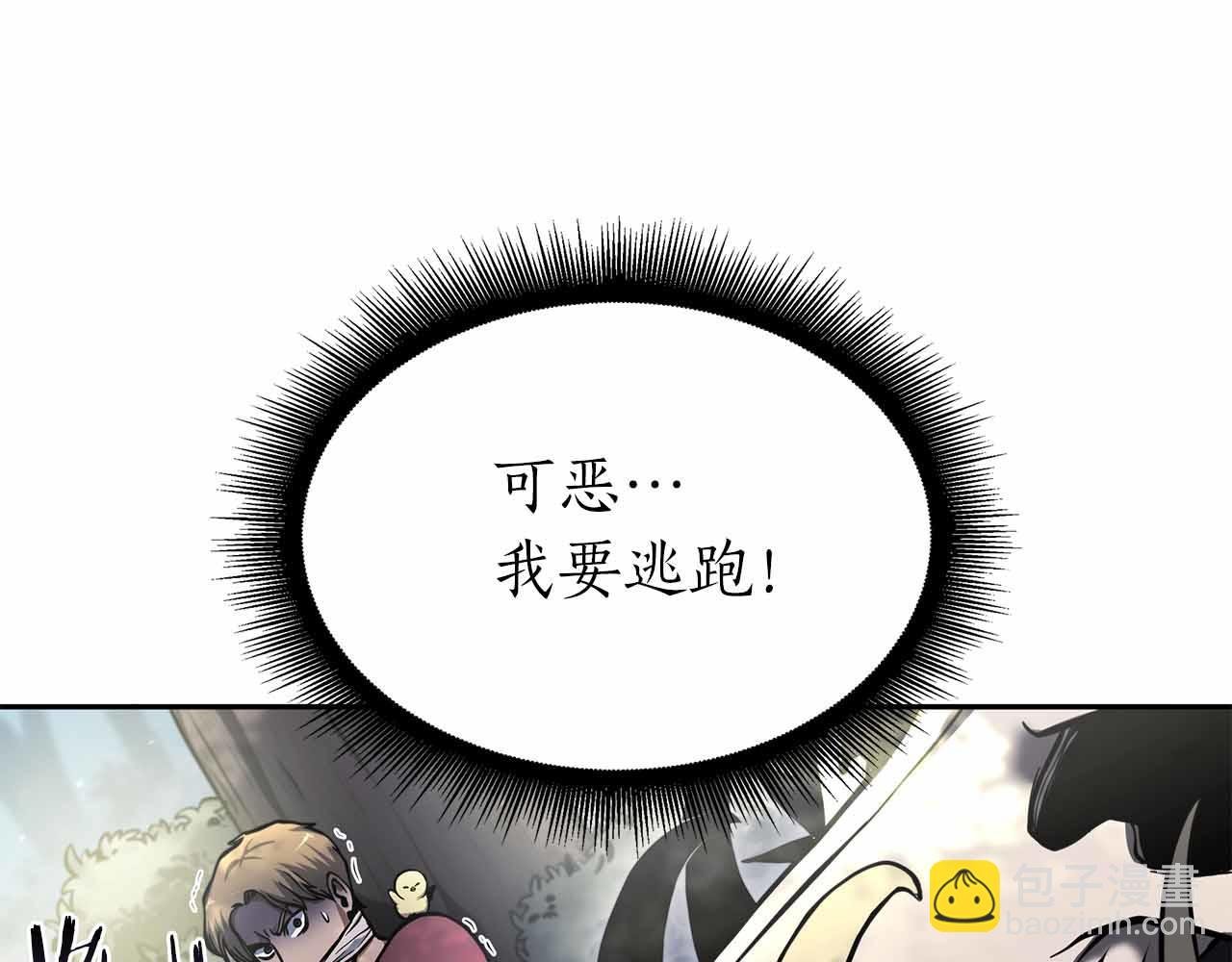 第20话 小鸡军团