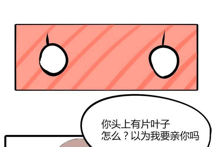 第十七话：测试