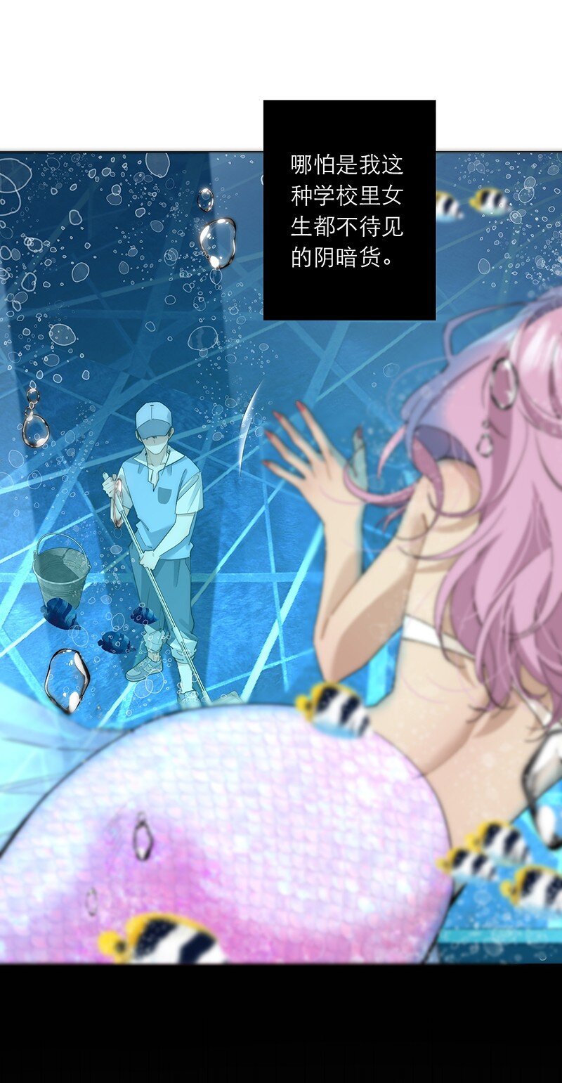 019 我一定会守护好我的人鱼公主