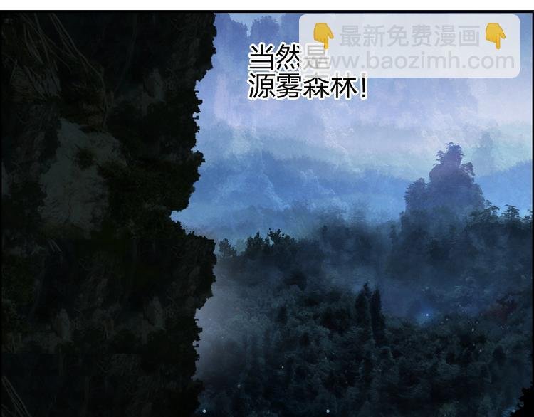 第117话 源雾森林