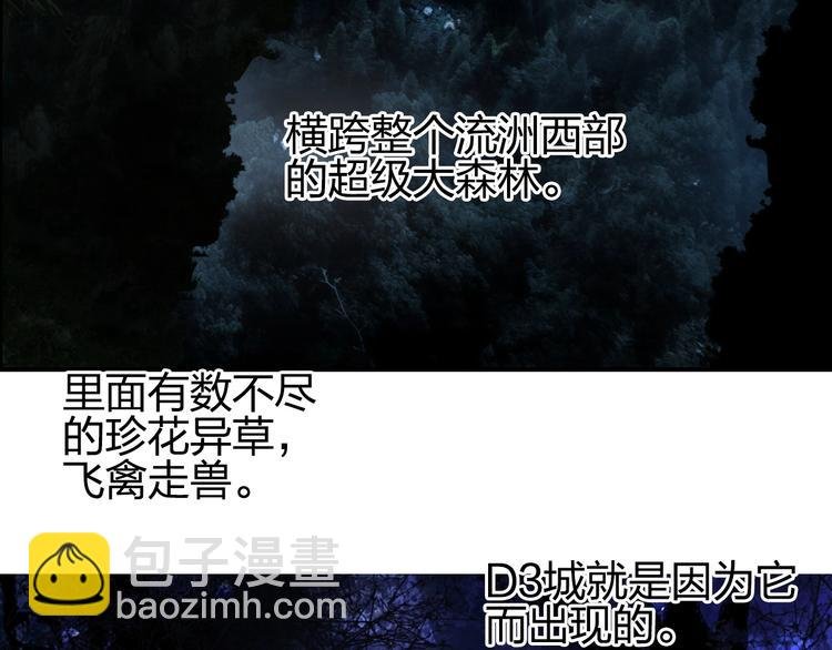 第117话 源雾森林