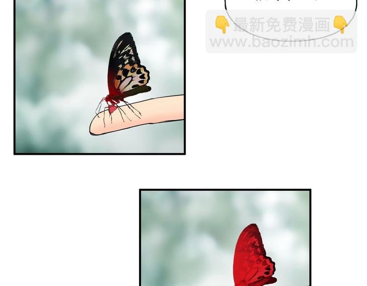 第118话 陷阱