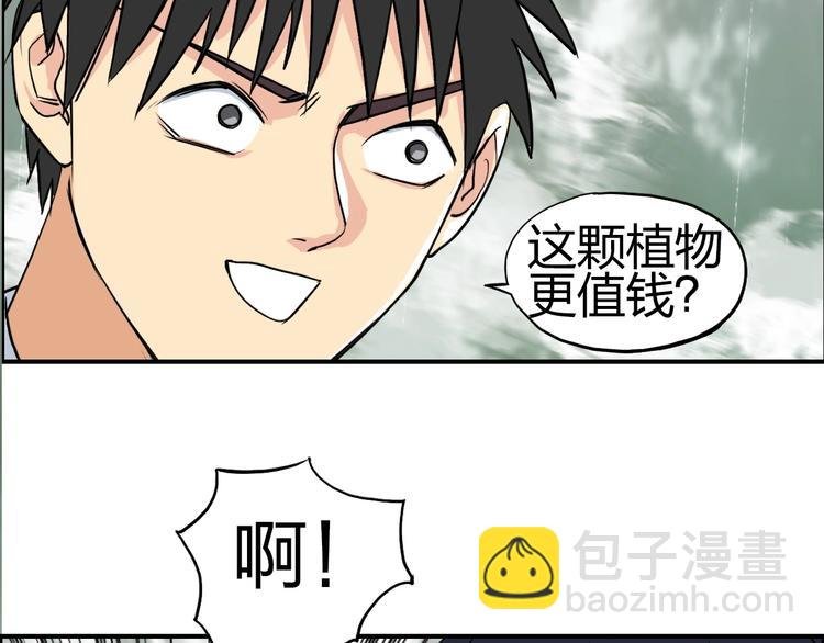 第120话 恶魔金币