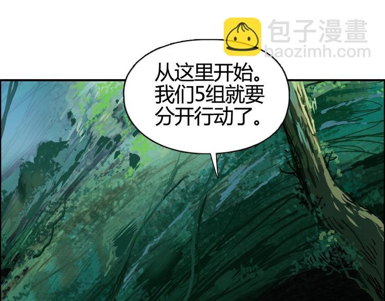 第158话 道纹圣心果
