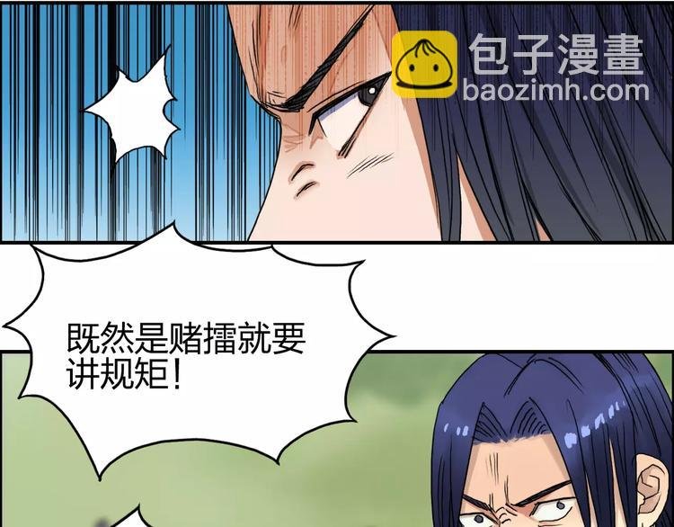 第66话 阵法宗师