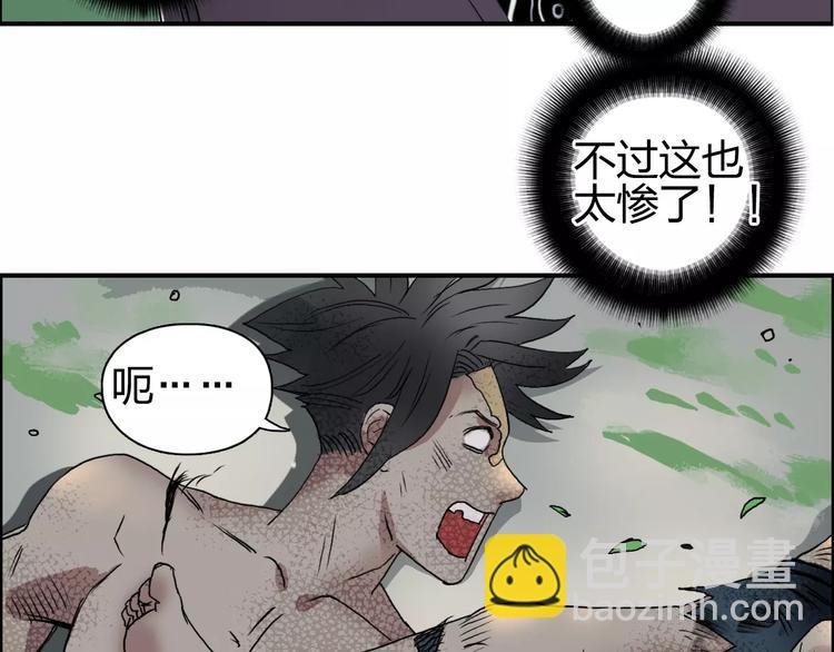 第66话 阵法宗师