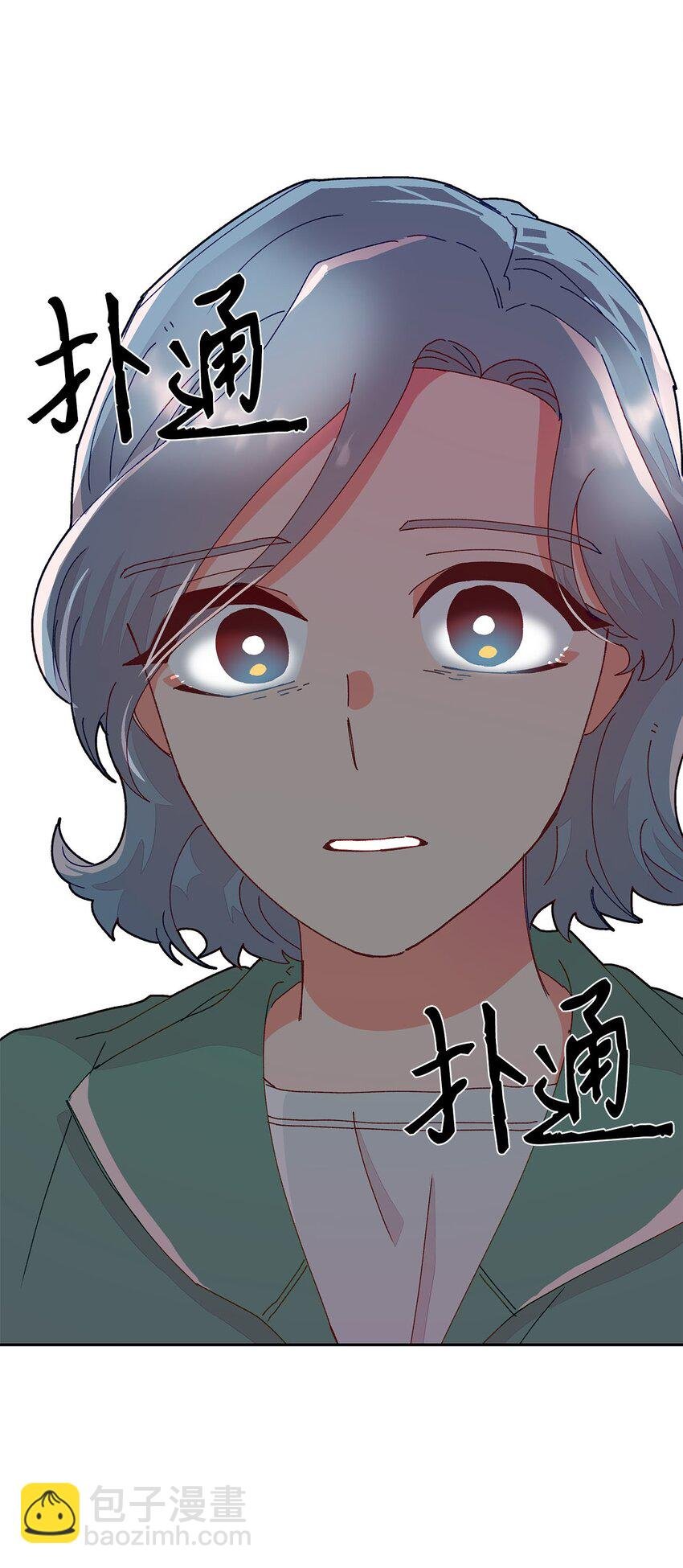 17 替代品