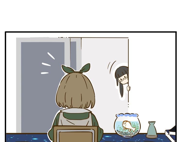 第9-1话 许愿锦鲤