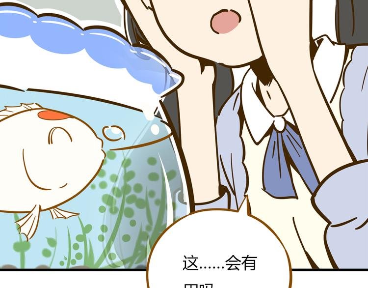 第9-1话 许愿锦鲤