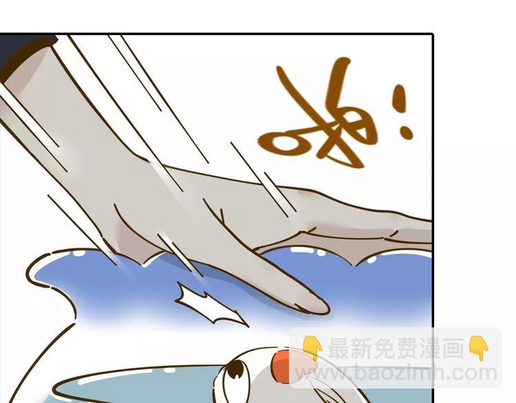 第13-2话 清蒸锦鲤