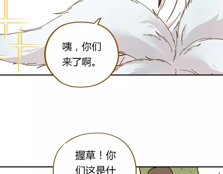 第17-2话 cos海洋生物？