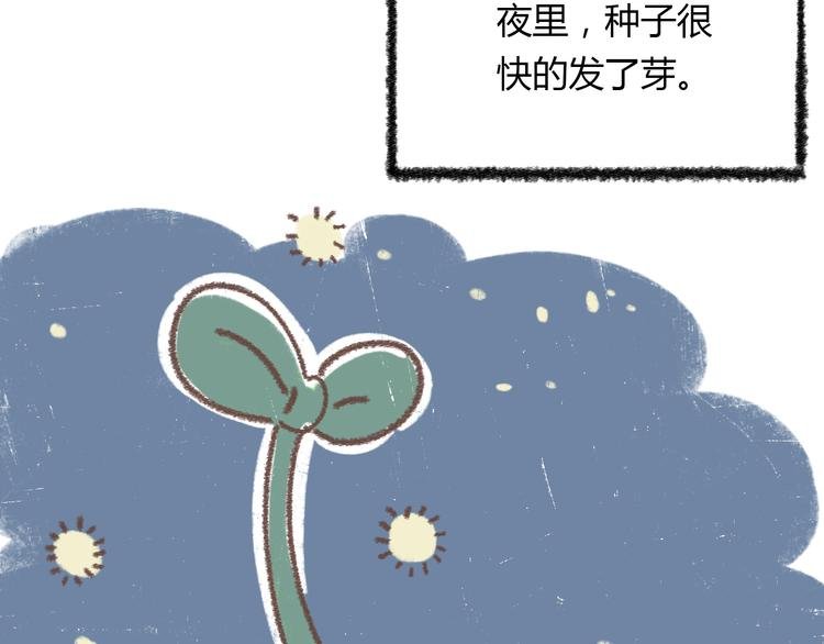 锦鲤小剧场