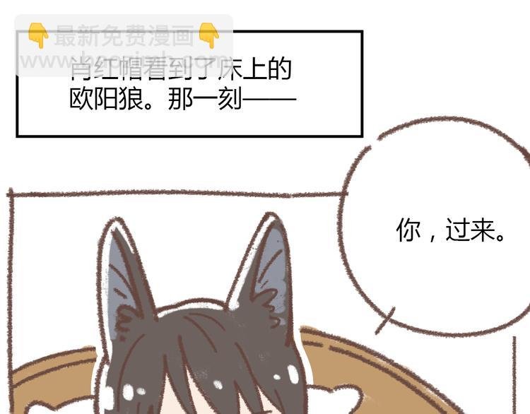 肖红帽小剧场