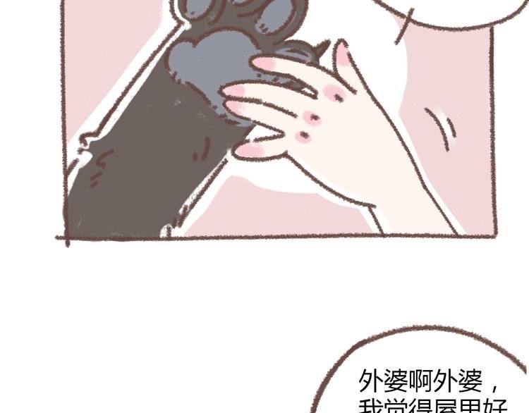 肖红帽小剧场