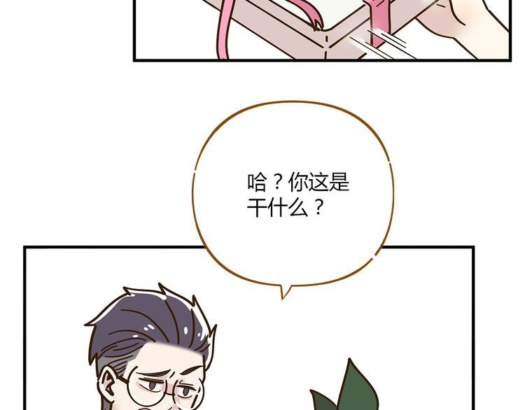 第51话 爱的告白