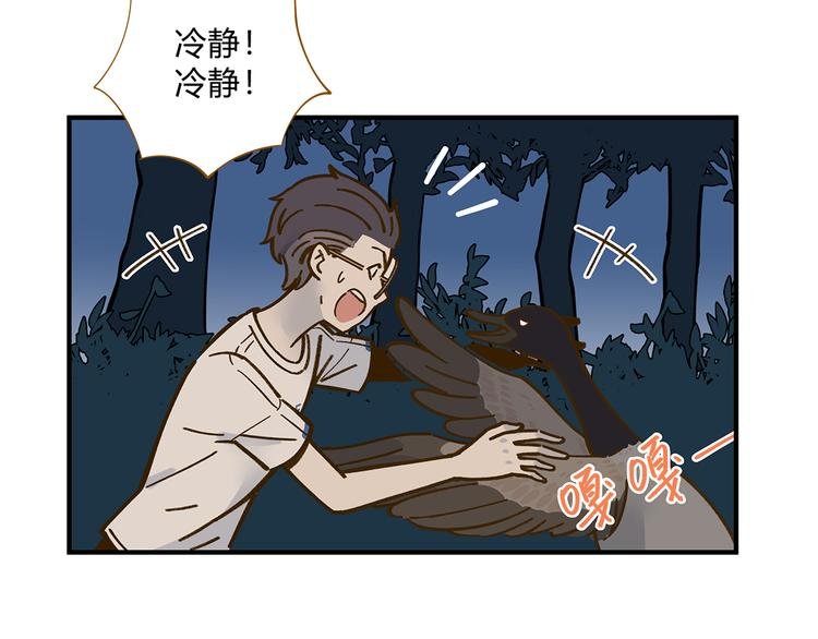 第61话 这次换我保护你