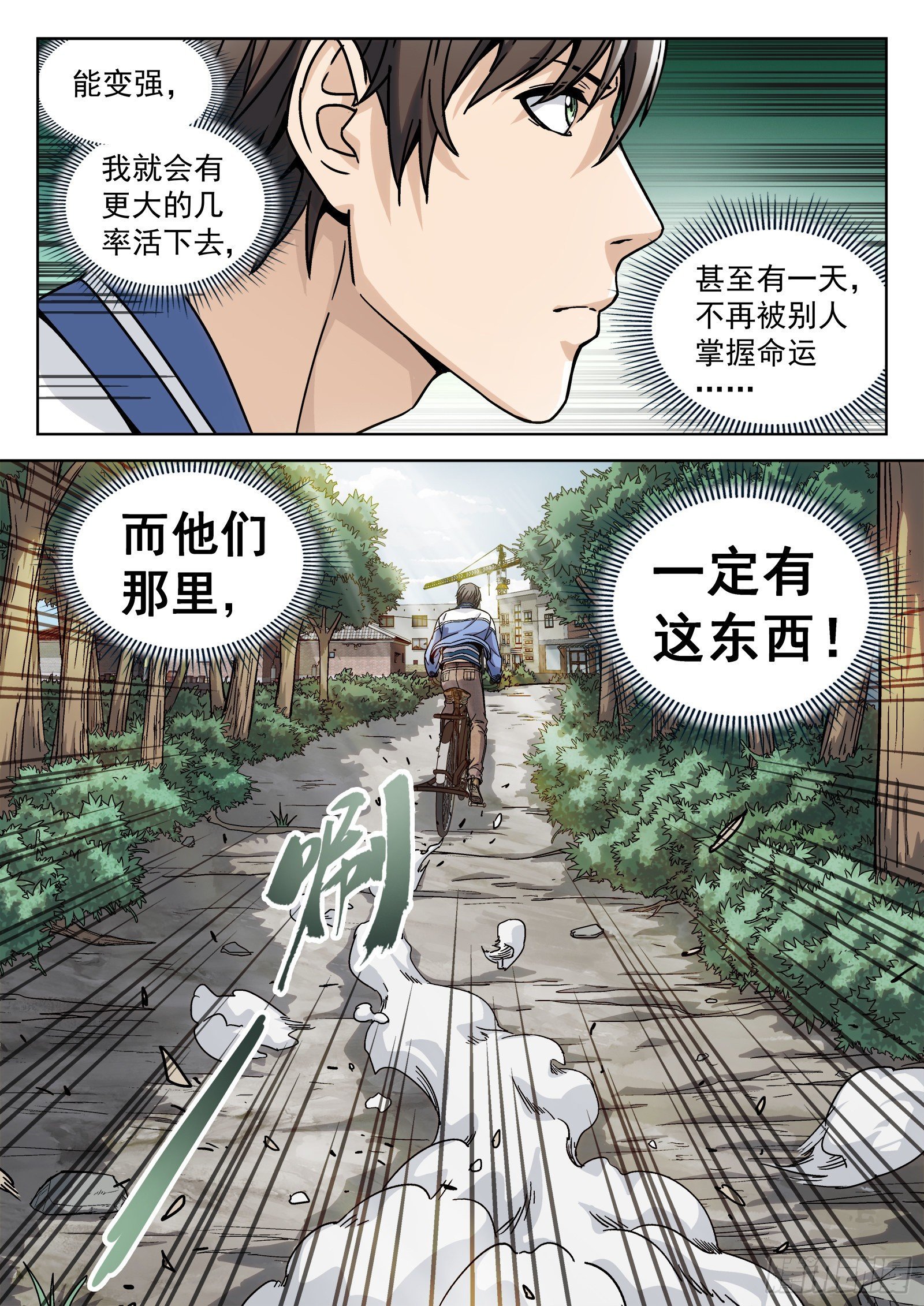 006：“瘟鸡飞”