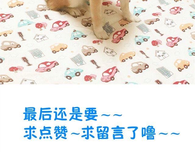 第2话 钢管舞头牌的魅力