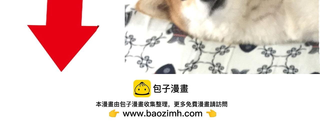 第41话 前辈的欢送会