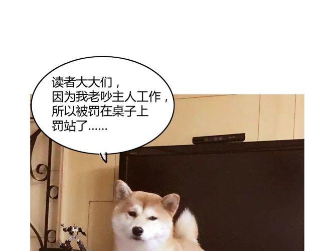 第7话 有什么让你心里不开心吗？