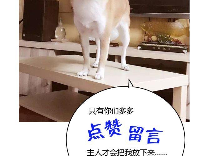 第7话 有什么让你心里不开心吗？