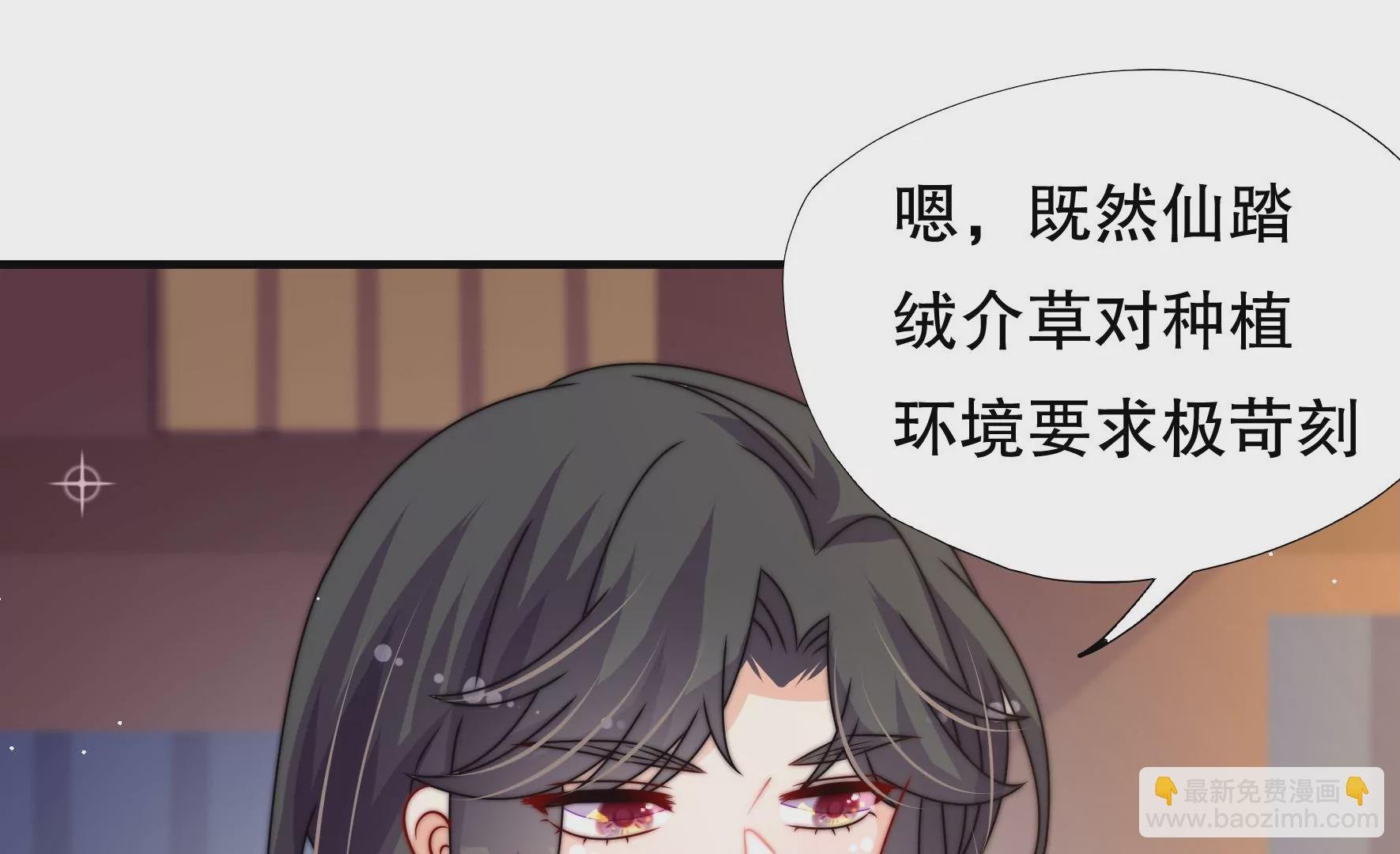 第41话 调查