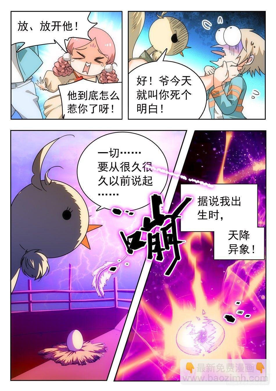 09 不平凡的鸡