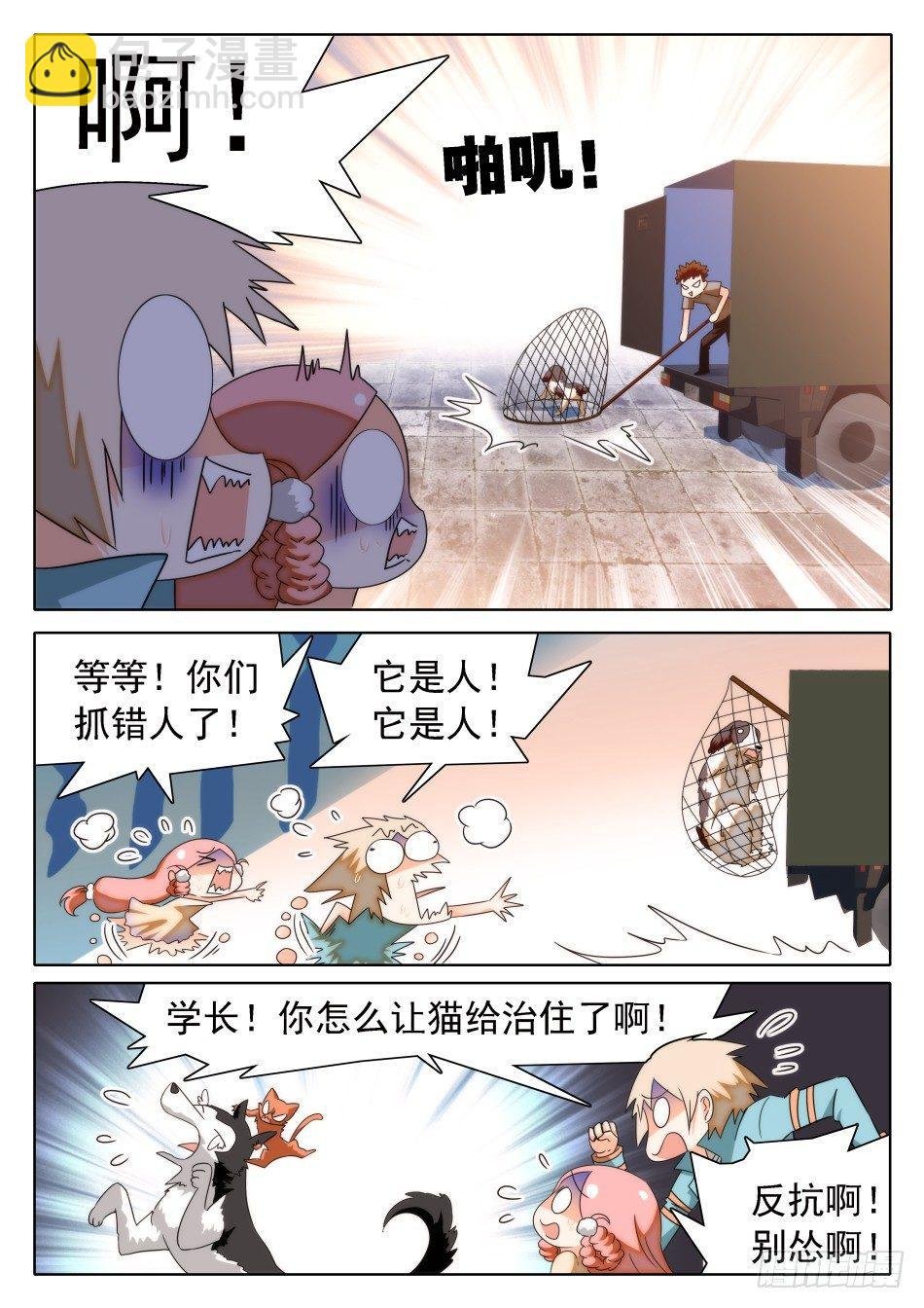 31 屎学长？