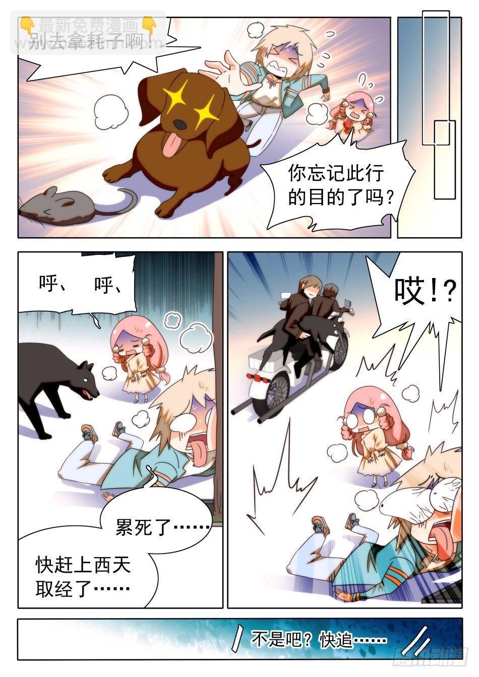 31 屎学长？