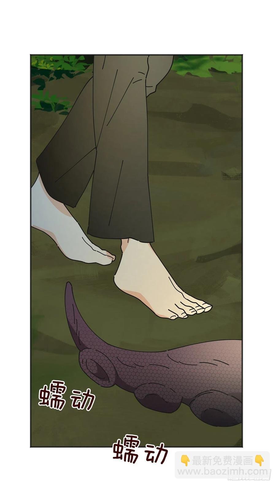43.克拉肯