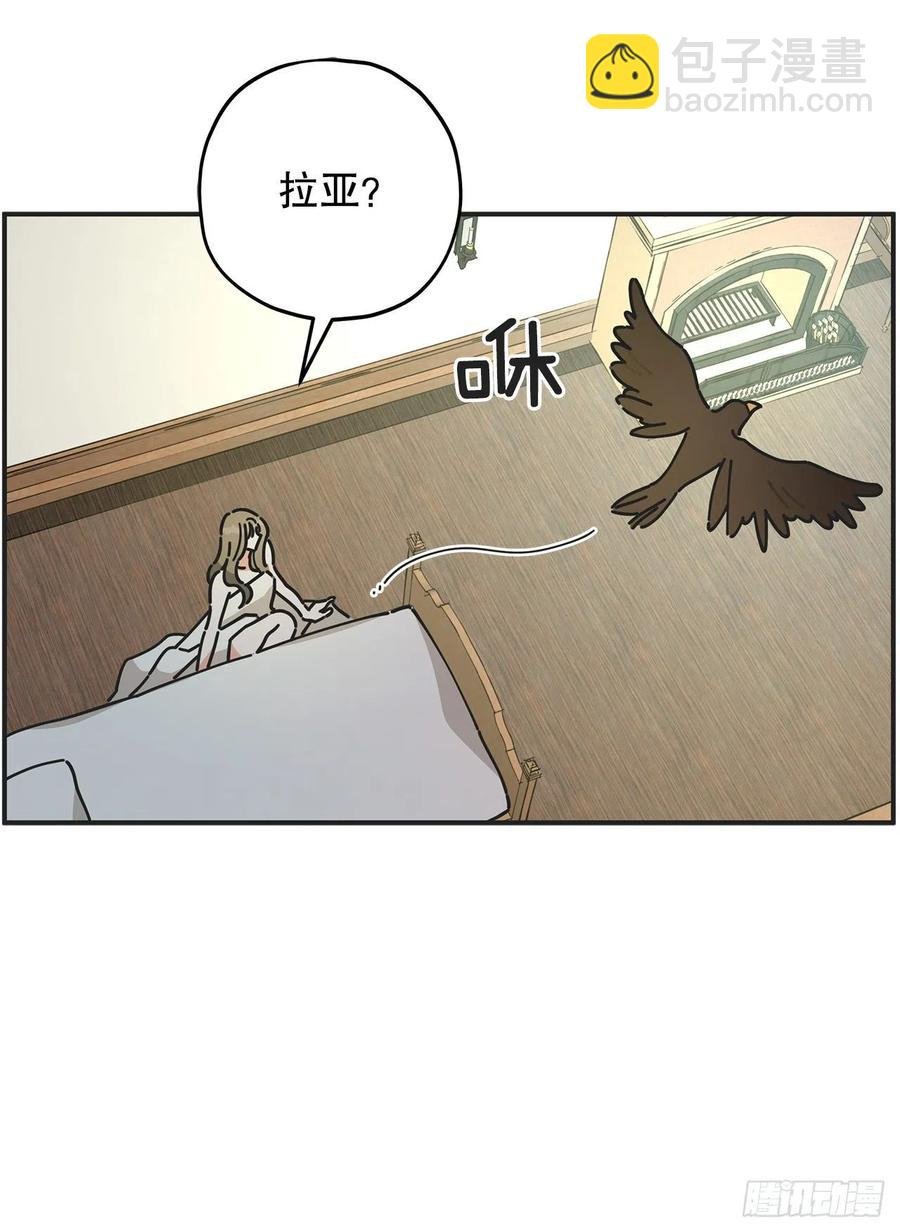 62.圈套