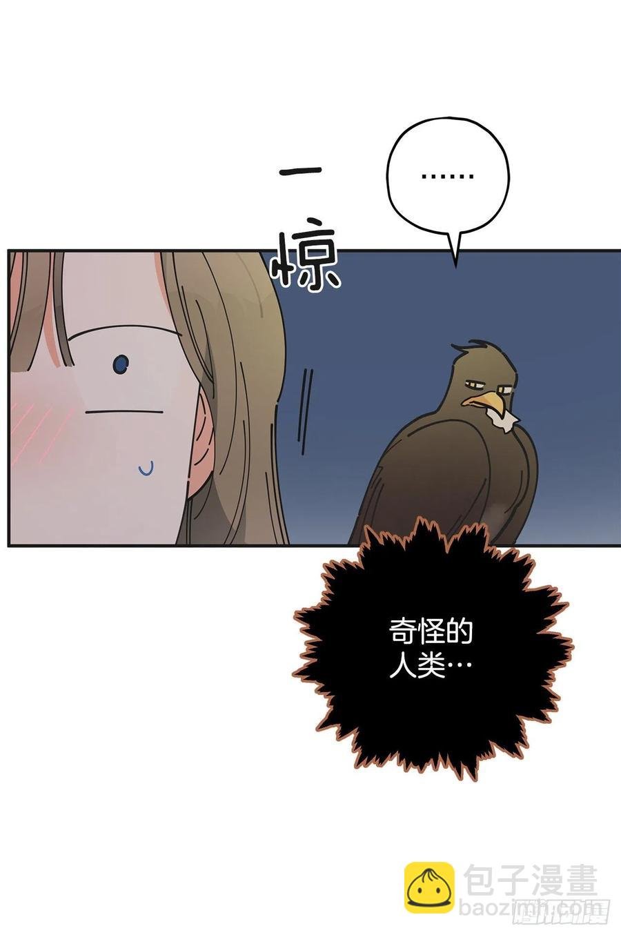 62.圈套