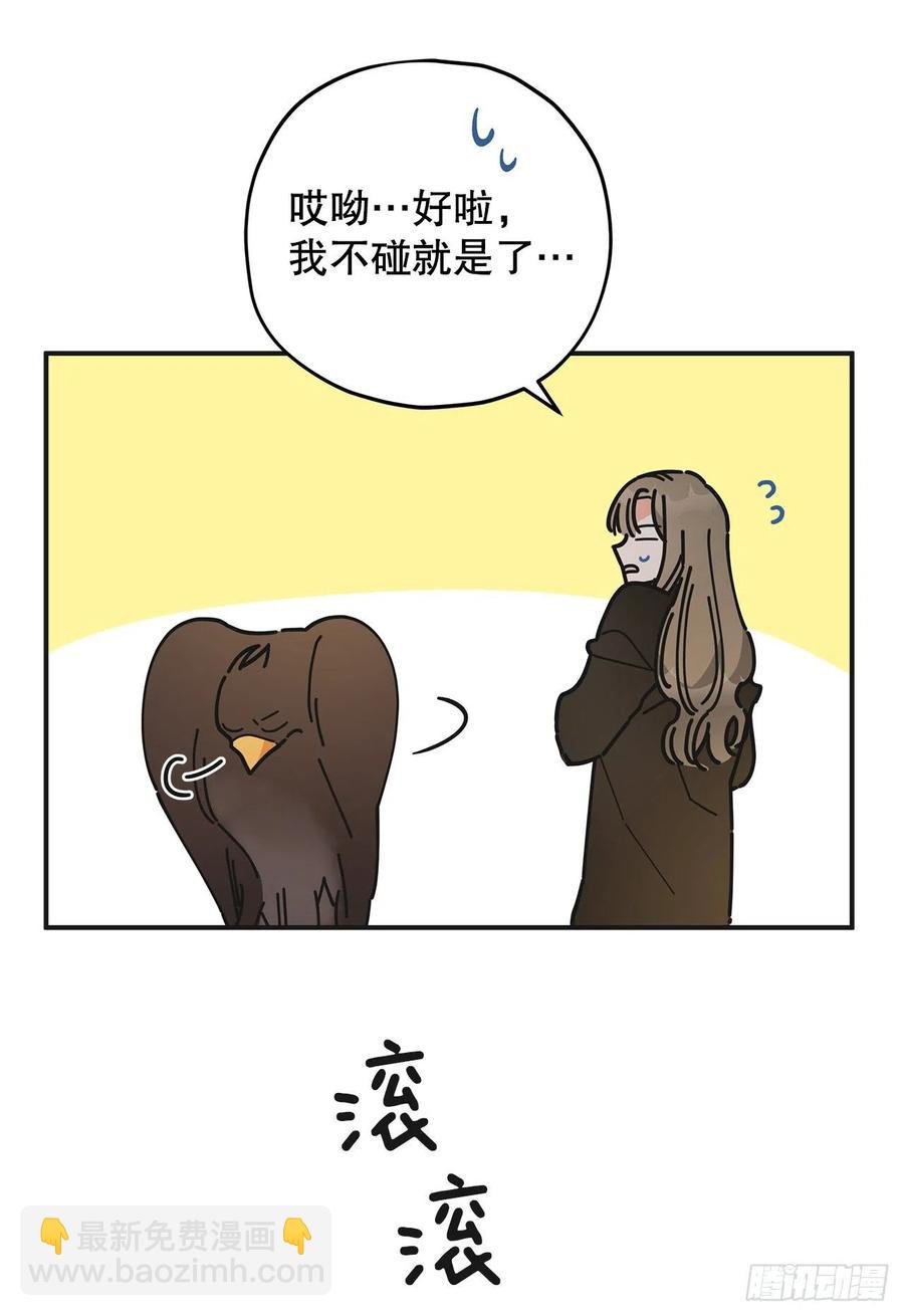 62.圈套