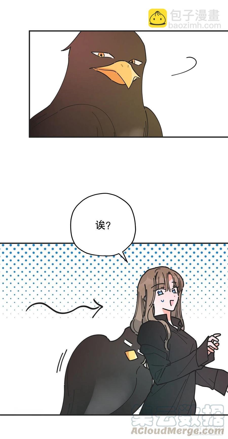 62.圈套