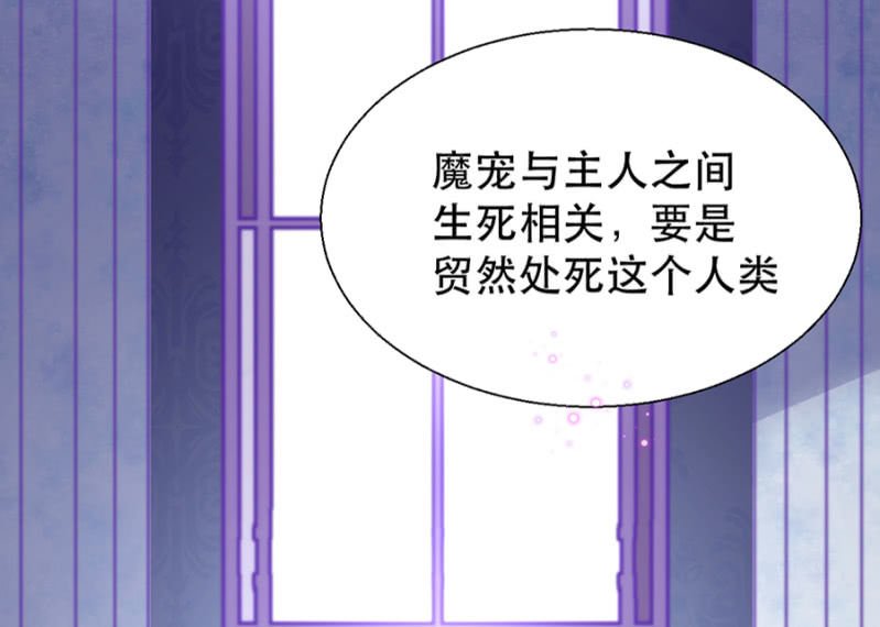 王子的血宠