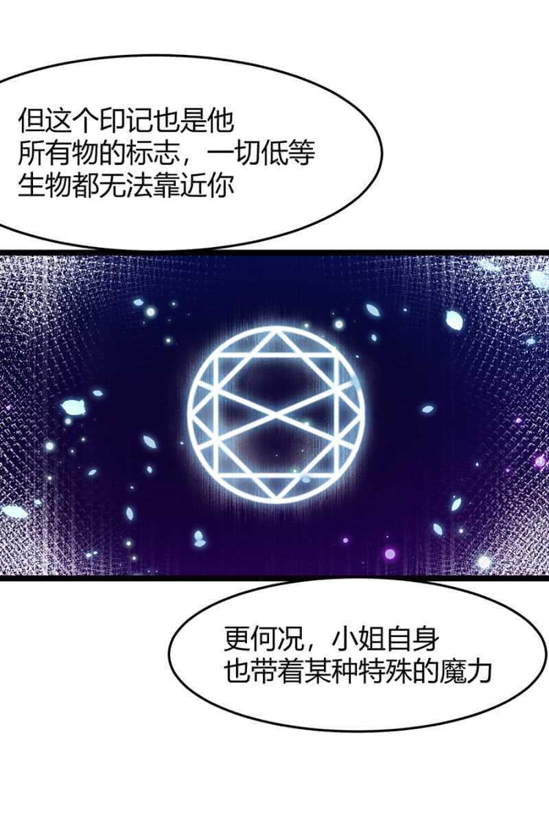 特殊的魔力