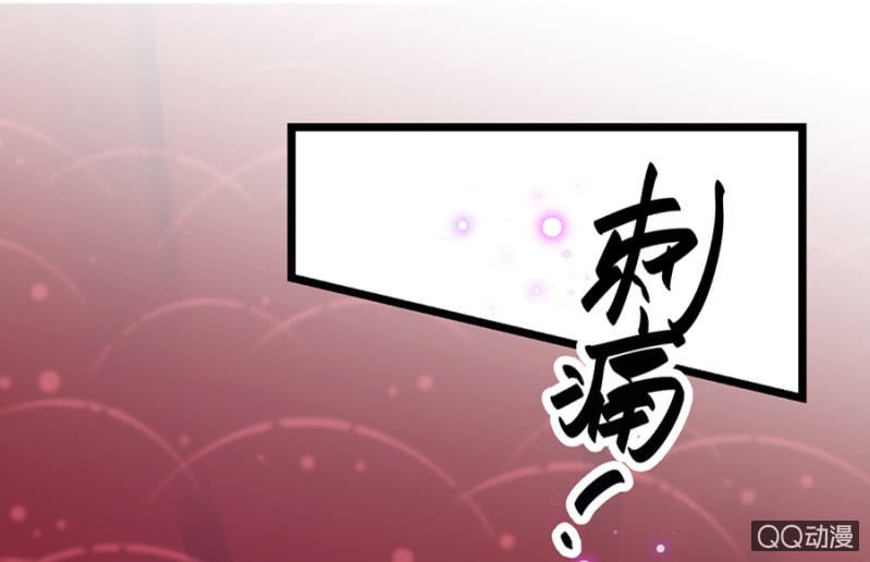 莱斯特