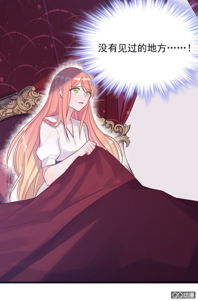 莱斯特