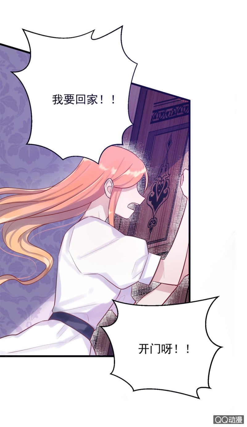 莱斯特