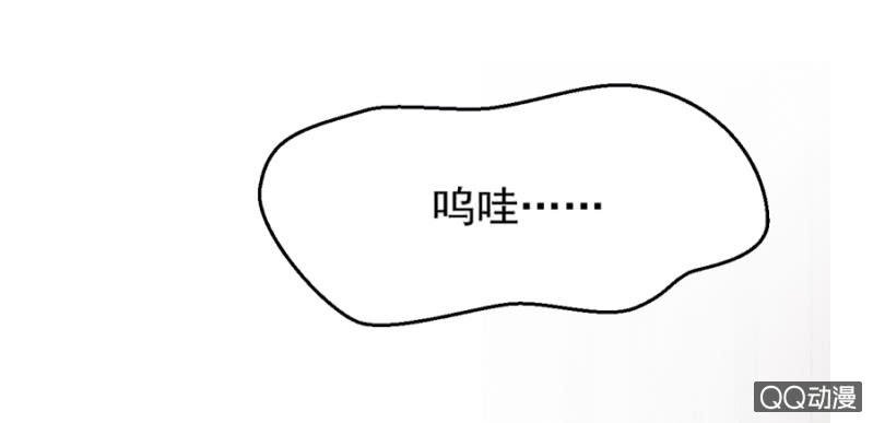 莱斯特