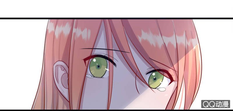 莱斯特