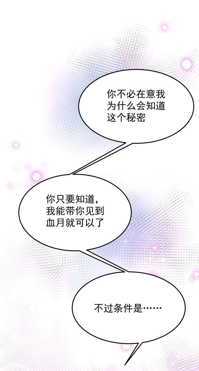你是我的王妃
