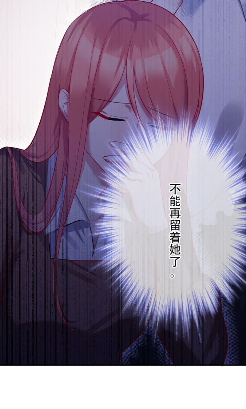 宠物的样子