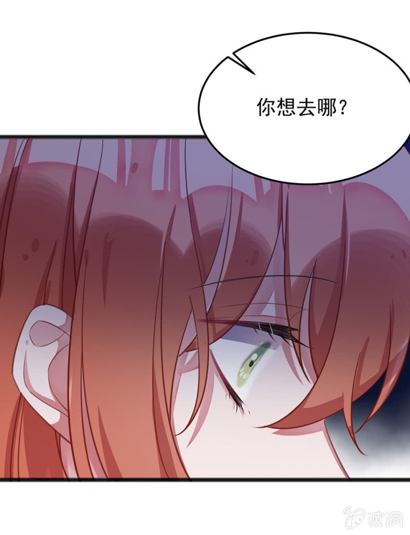 我的王妃只有你