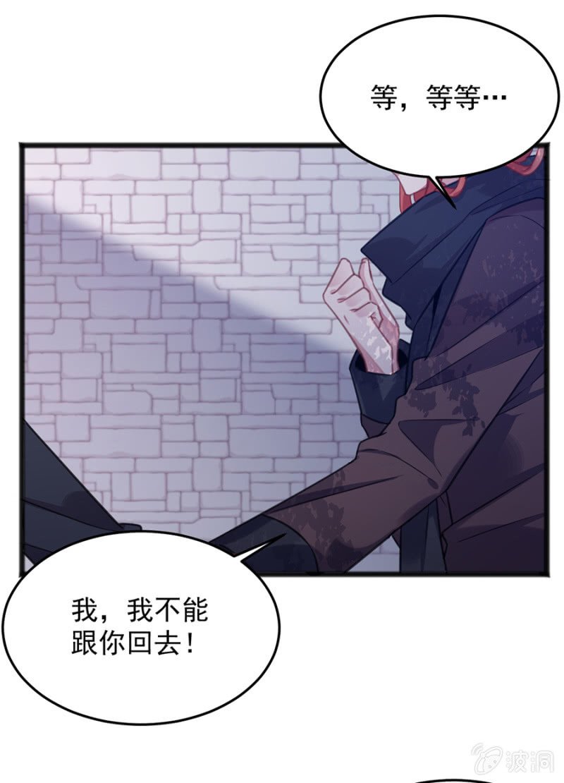 我的王妃只有你