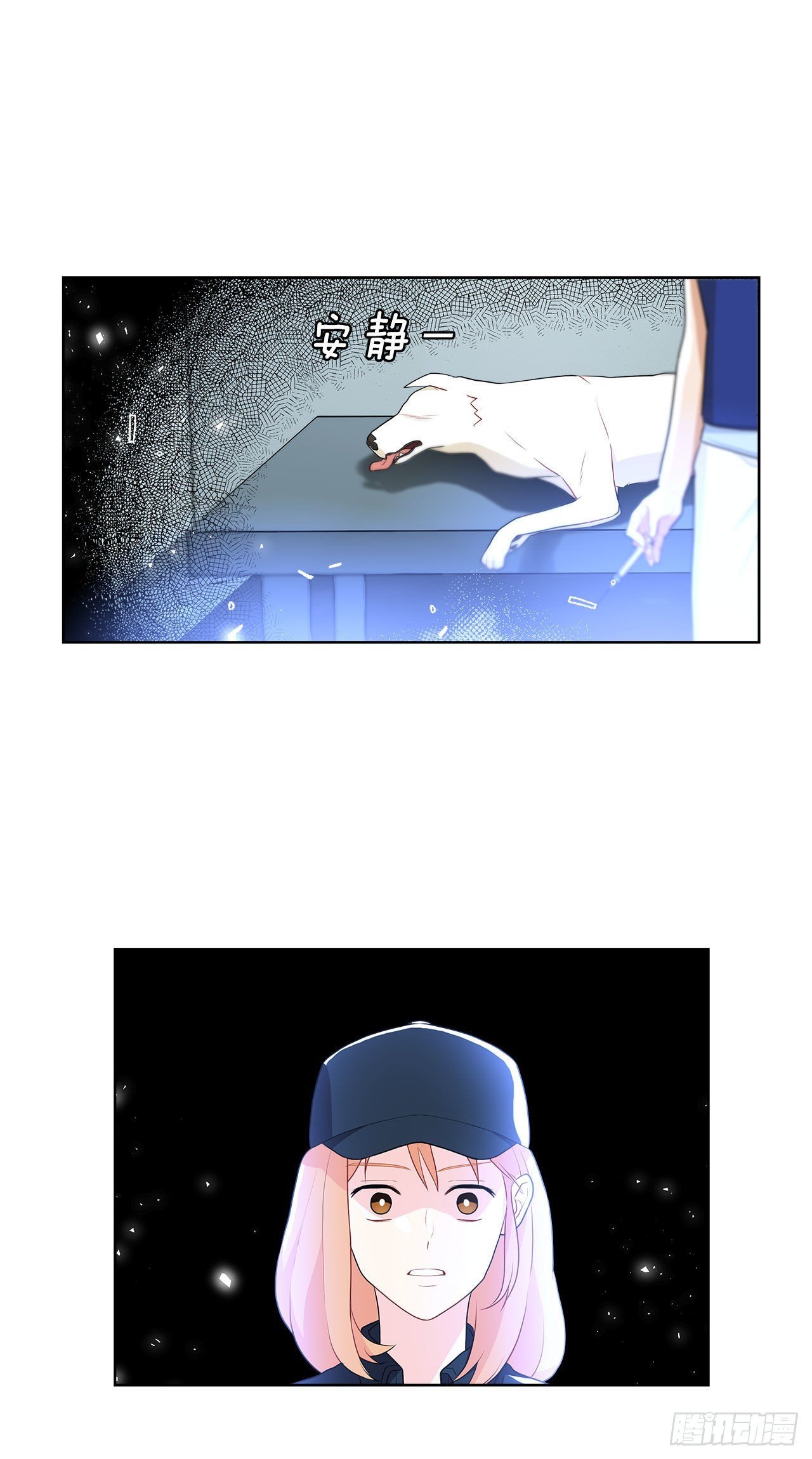11.营救小白